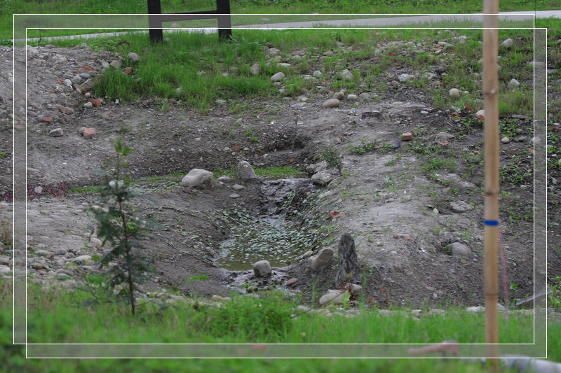 按此在新窗口瀏覽圖片